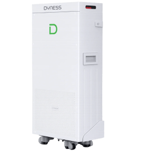 Dyness Powerbrick PLUS